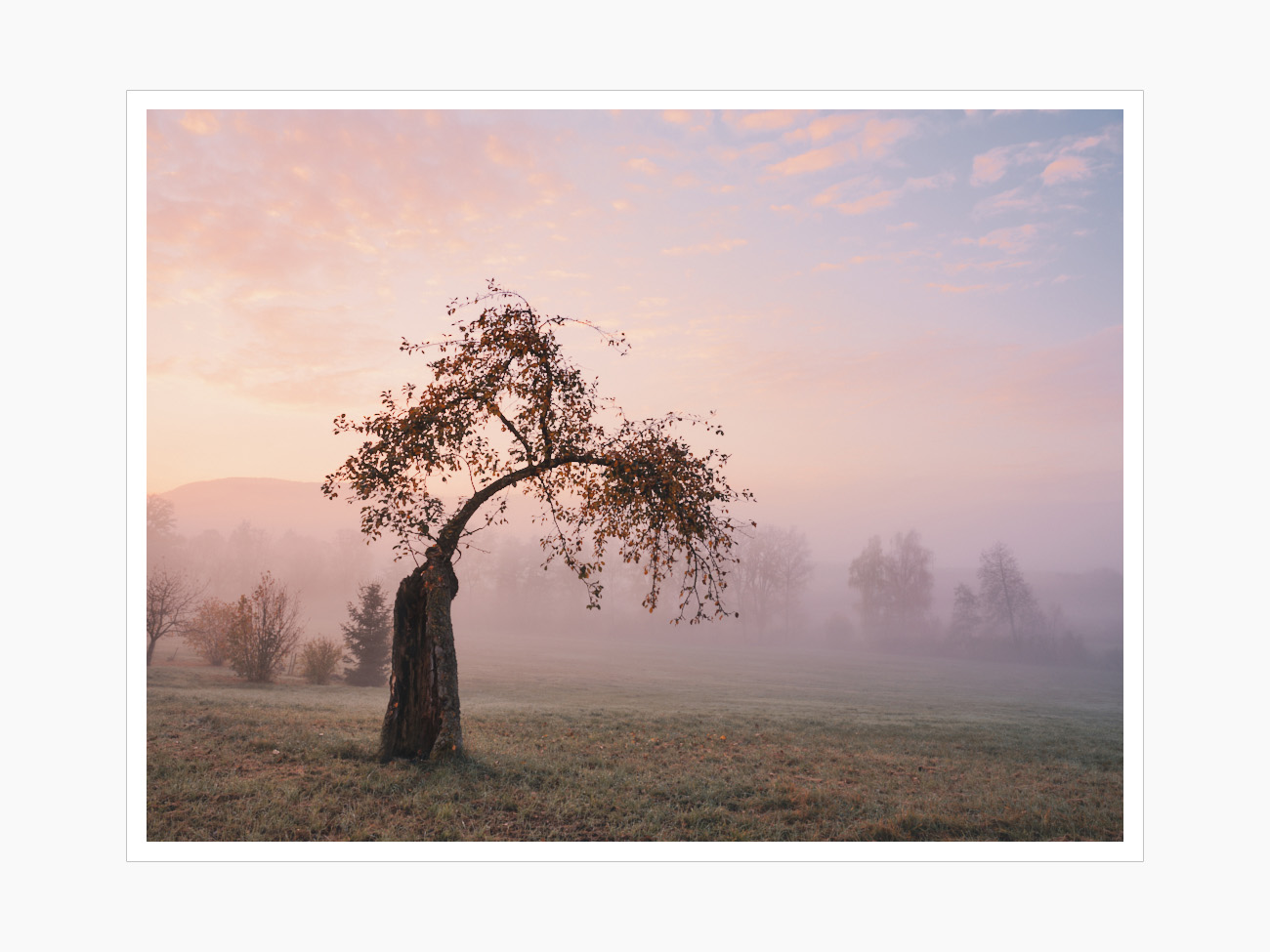 Max Schiefele Alle Bilder  DSF4301